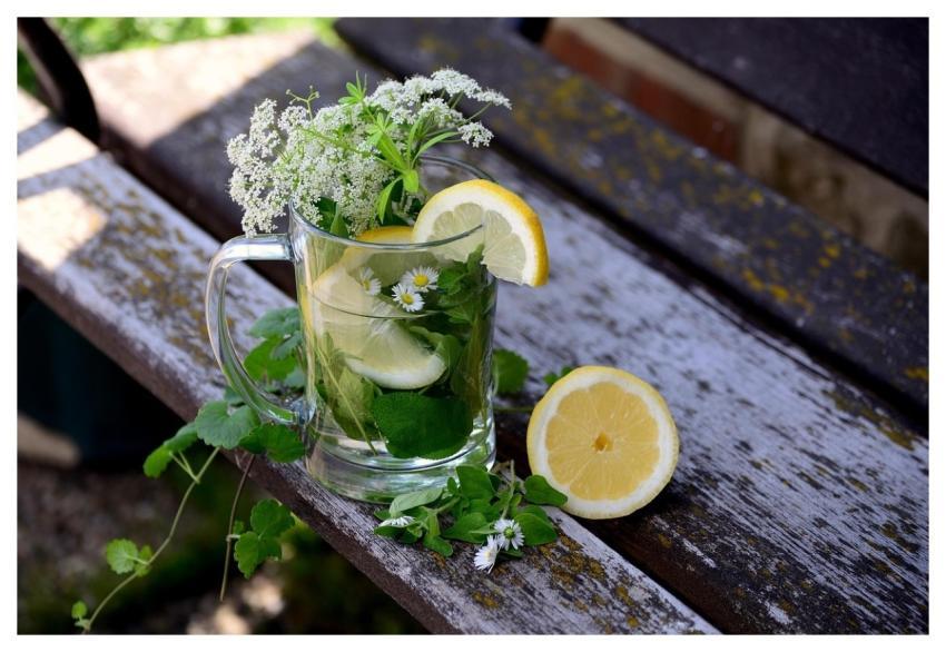 Herbs Herbal Water Drink Refreshment