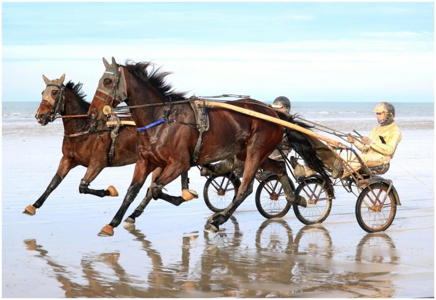 Dynamic scene of horse racing on Jullouville beach
