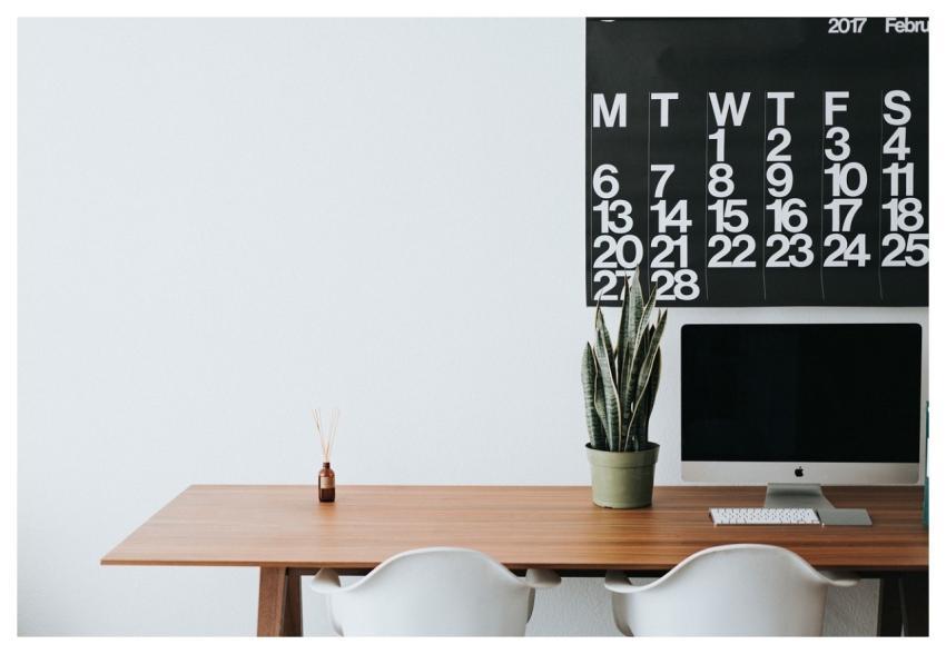 Apple Computer Browser Business