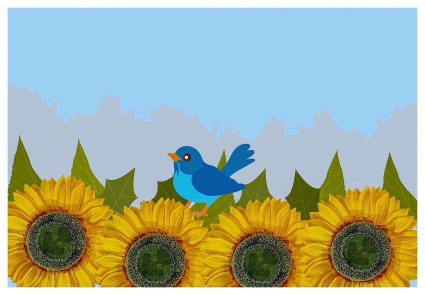 Sunflowers Blue Bird Wildlife Nature
