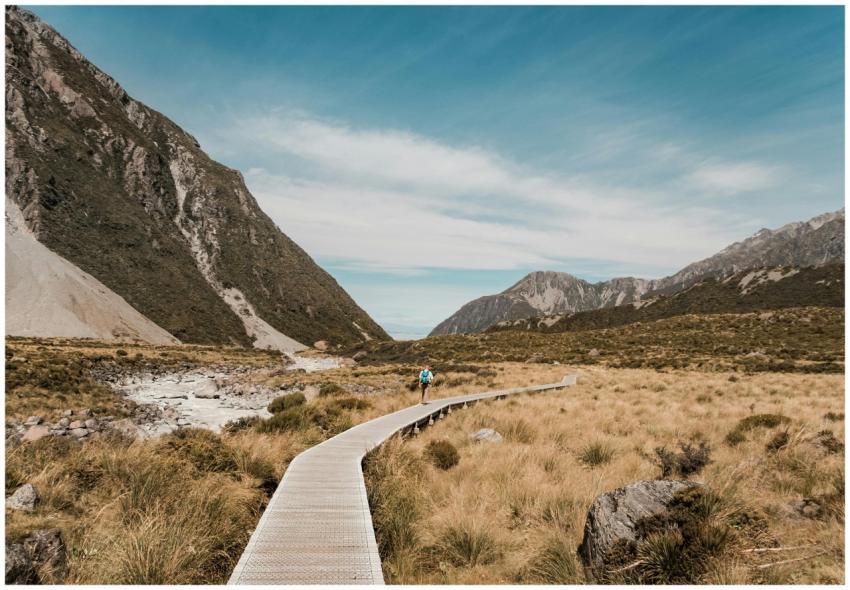 A hiker on a tranquil boardwalk path in New Zealan