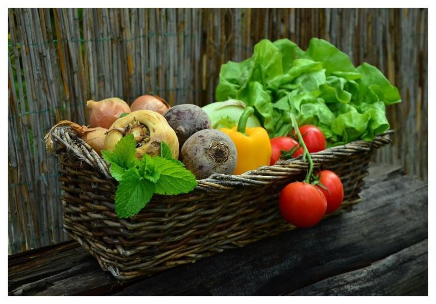 Vegetables Basket Vegetable Basket Harvest