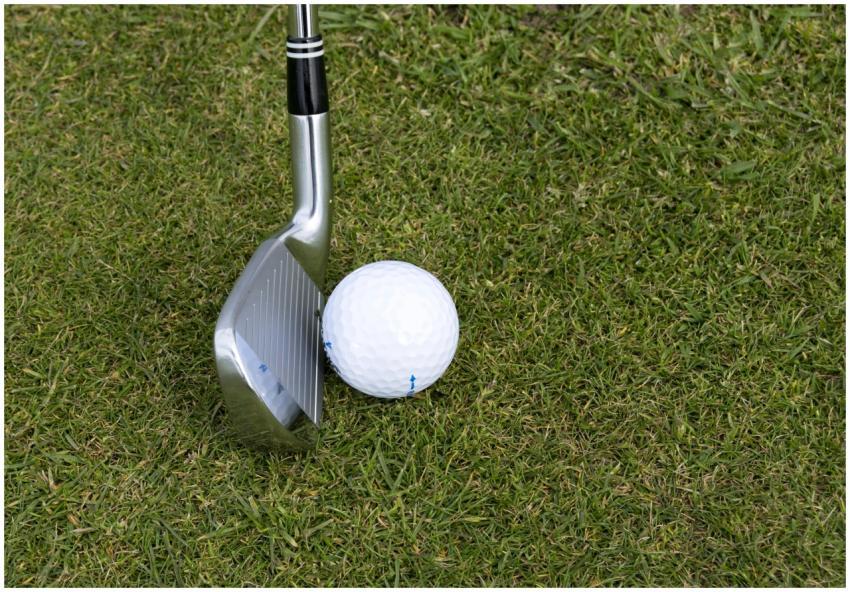 Golf club and ball on grass showcasing a leisure s