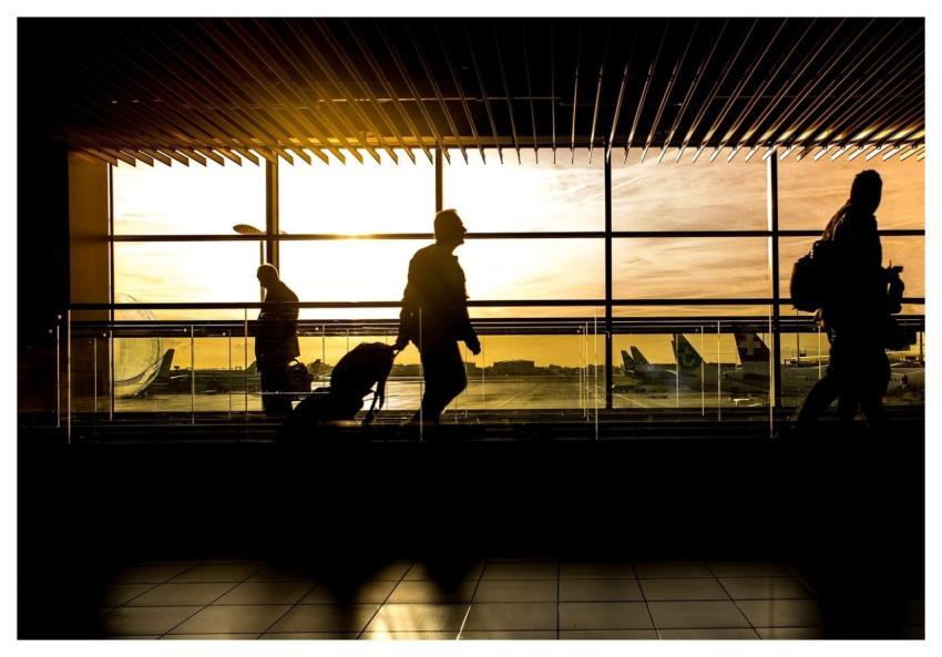 Airport Terminal Man Travel