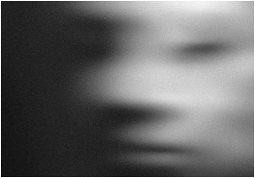 Blurred grayscale abstract portrait creating a mys
