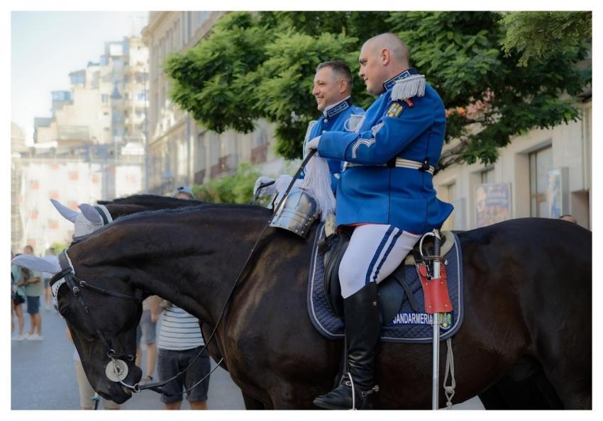 Ride Men Nature Horses