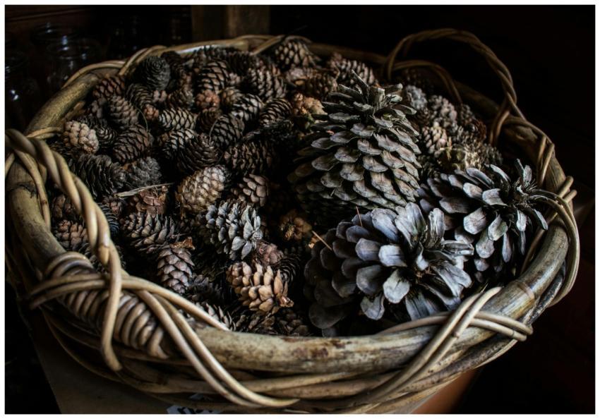 Close-up of a wicker basket filled with diverse pi