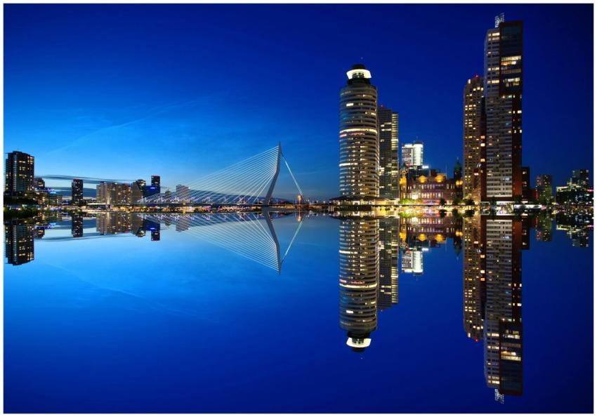 Beautiful night view of Rotterdam skyline with ill