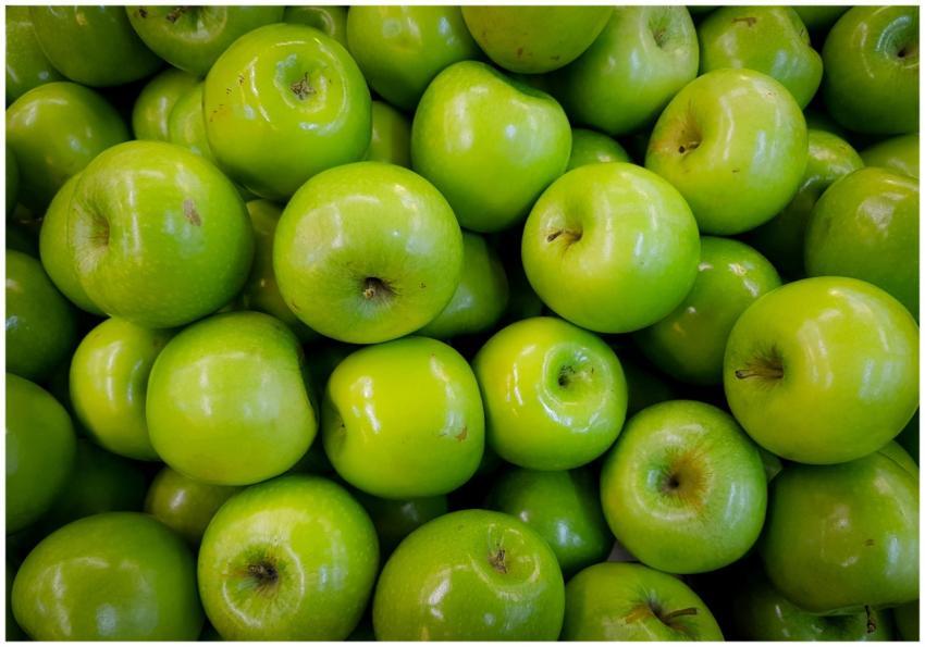 A vibrant close-up of shiny green apples showcasin