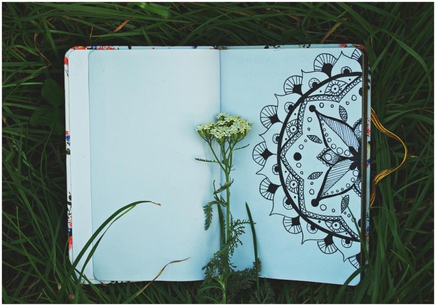 An open notebook with a mandala design lies in fre