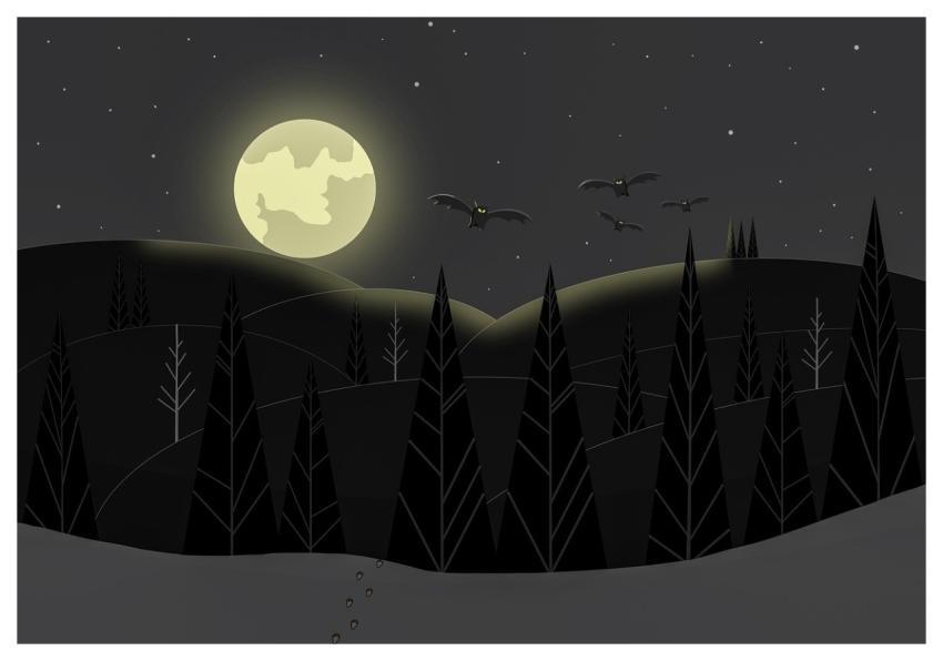 Forest Beautiful Nature Pine Trees Moon