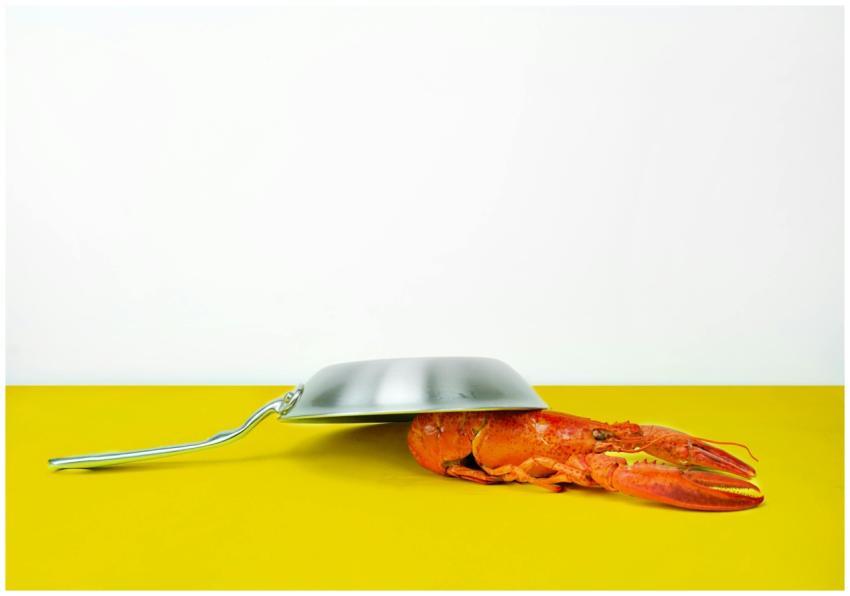 Creative still life of a lobster under a frying pa