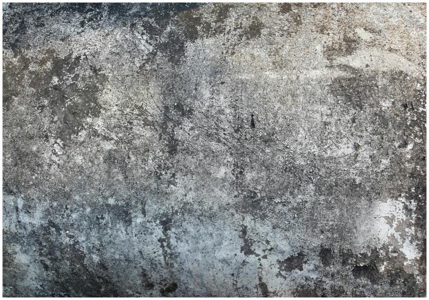 Close-up of textured cement surface ideal for back