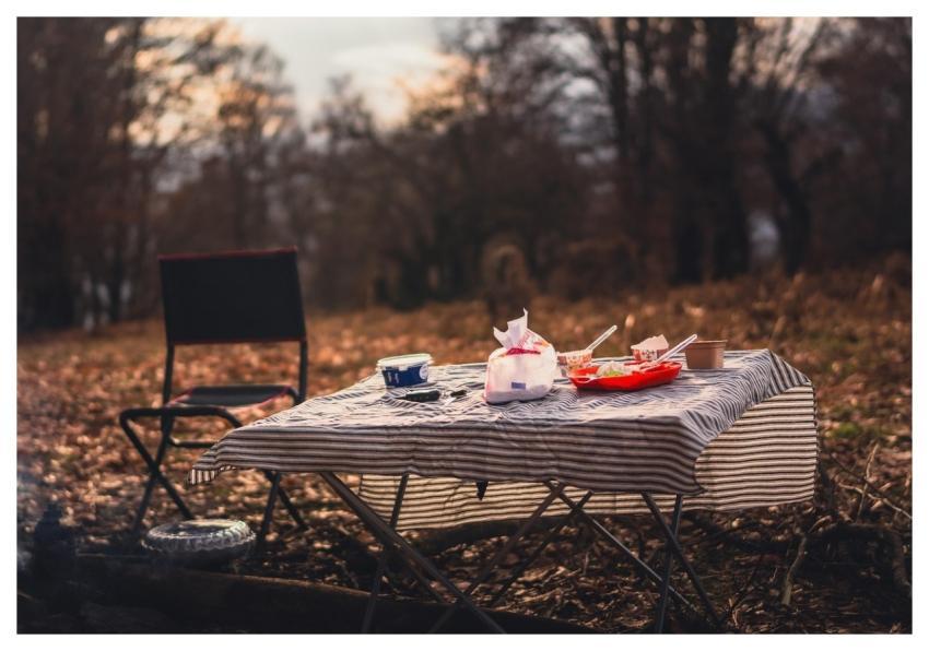 Forest Nature Picnic Landscape