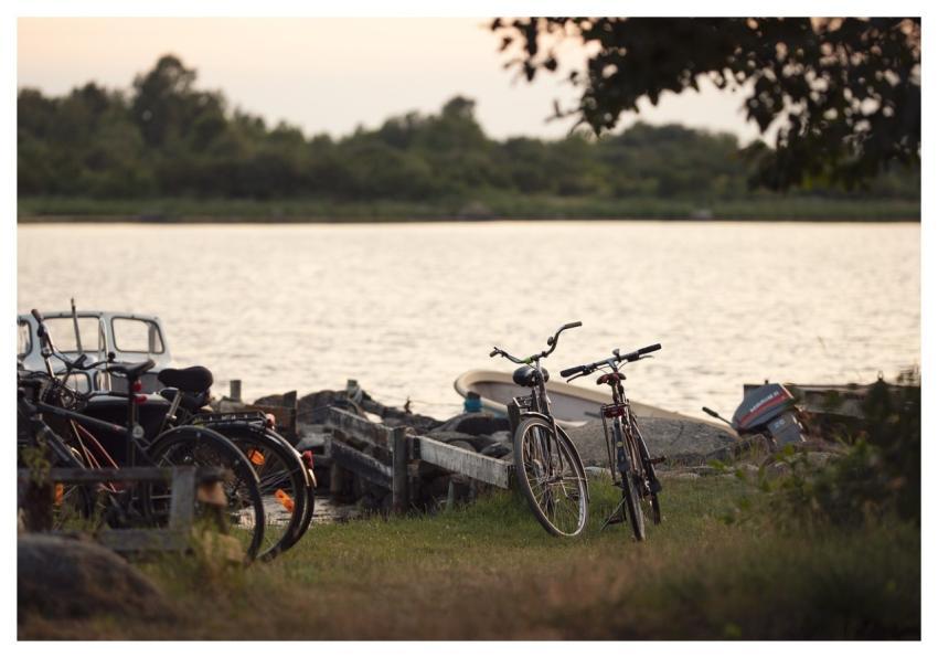 Bicycle Lake Nature Outdoors