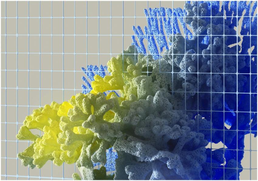 Vibrant abstract 3D render featuring colorful cora