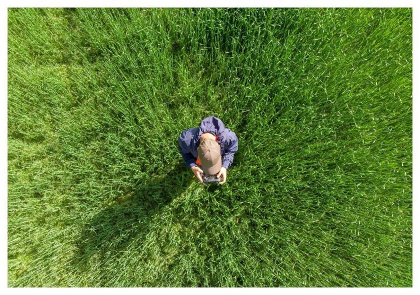 Drone Operator Drone Pilot Field Aerial View