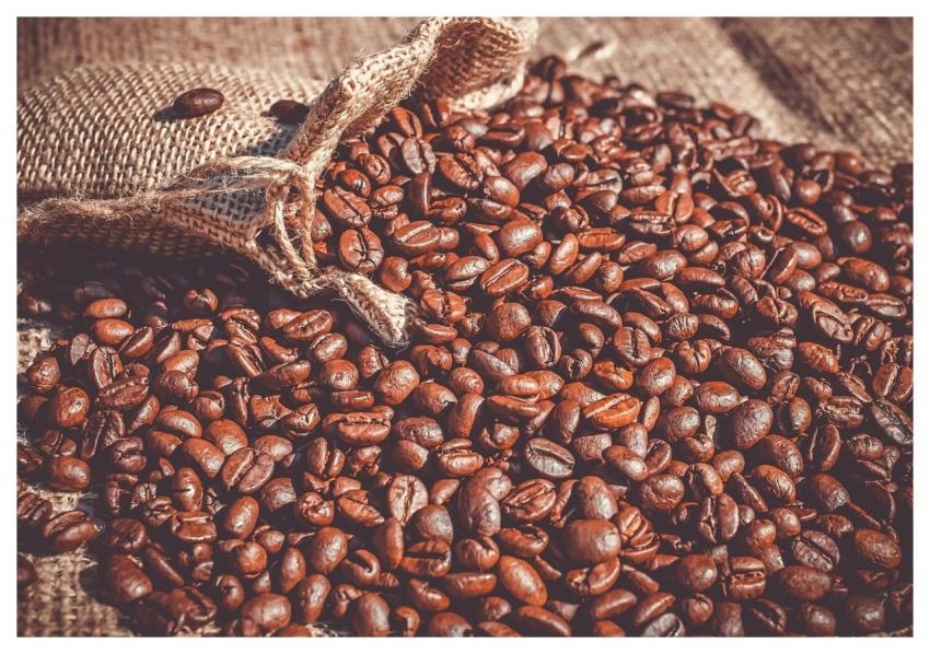 Coffee Coffee Beans Beans Roasted