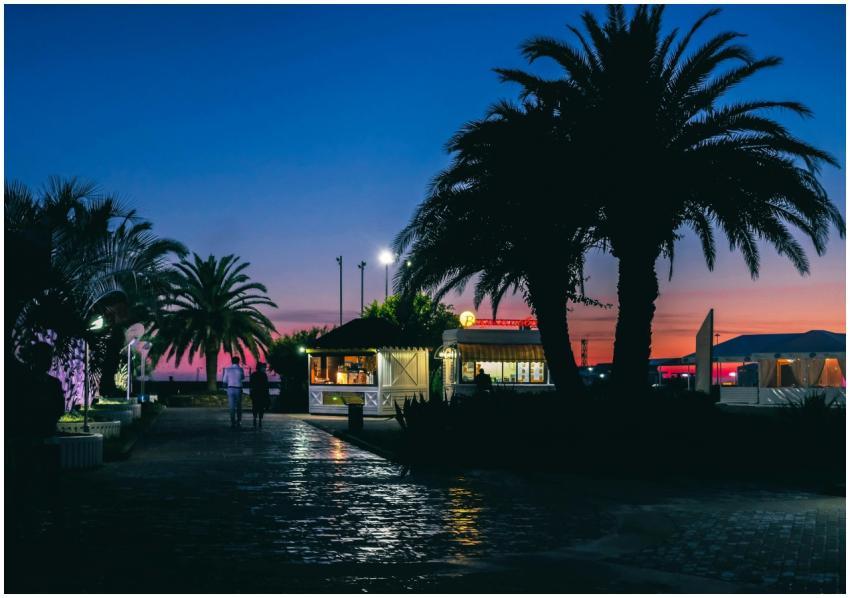 Evening view of a Sochi resort with palm trees, li