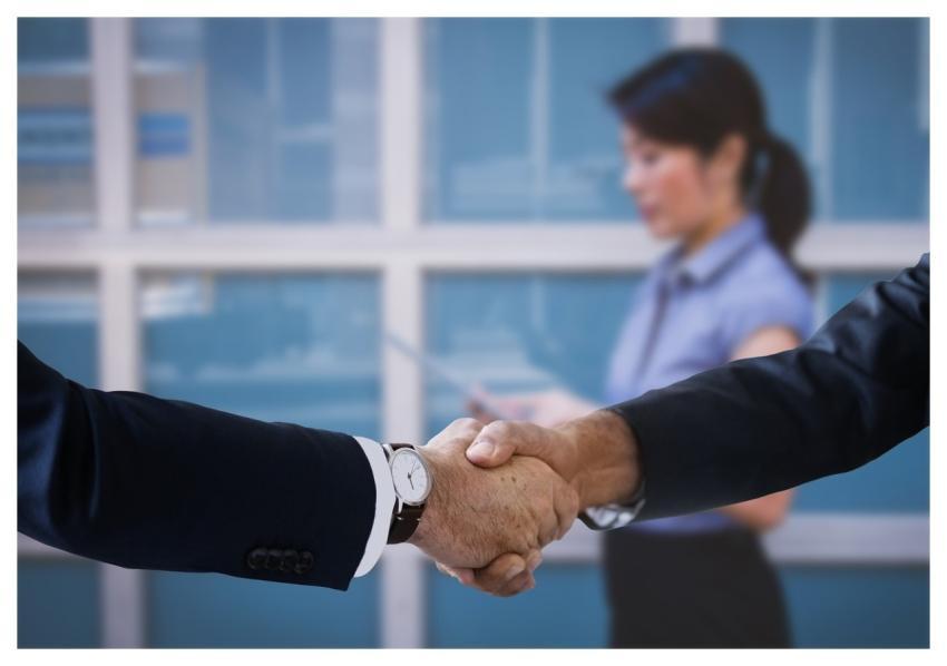 Shaking Hands Handshake Boss Executive