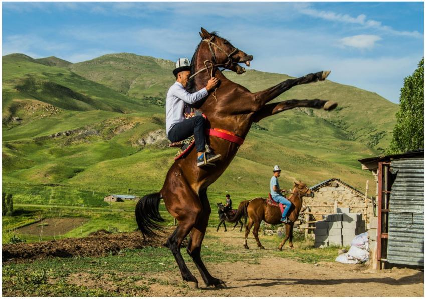 Dynamic equestrian scene in the vibrant landscapes