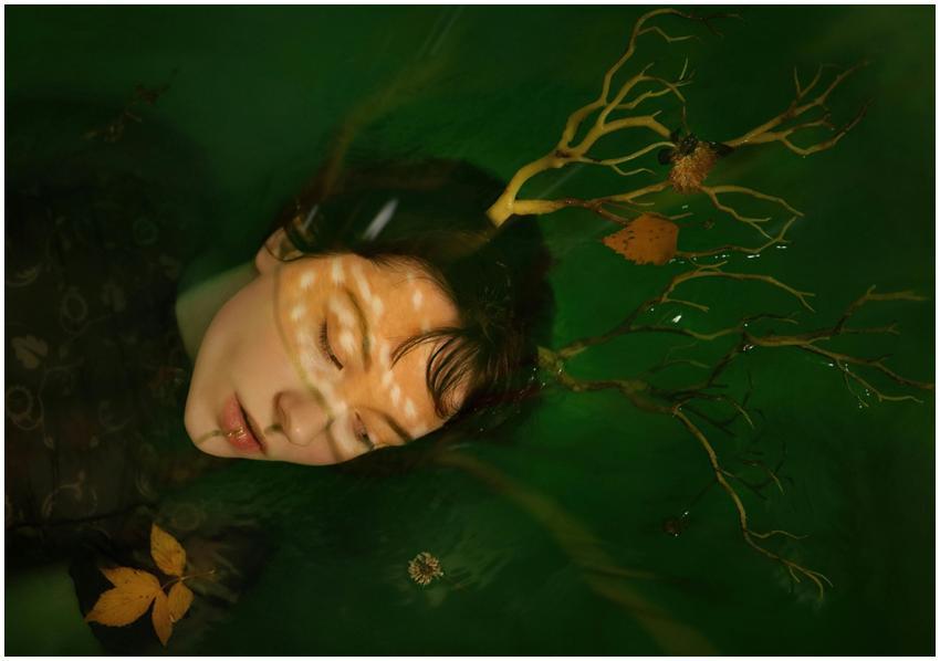 Artistic depiction of a person with twigs and antl