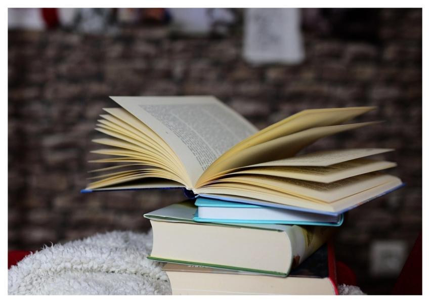 Read Books Pages Wisdom