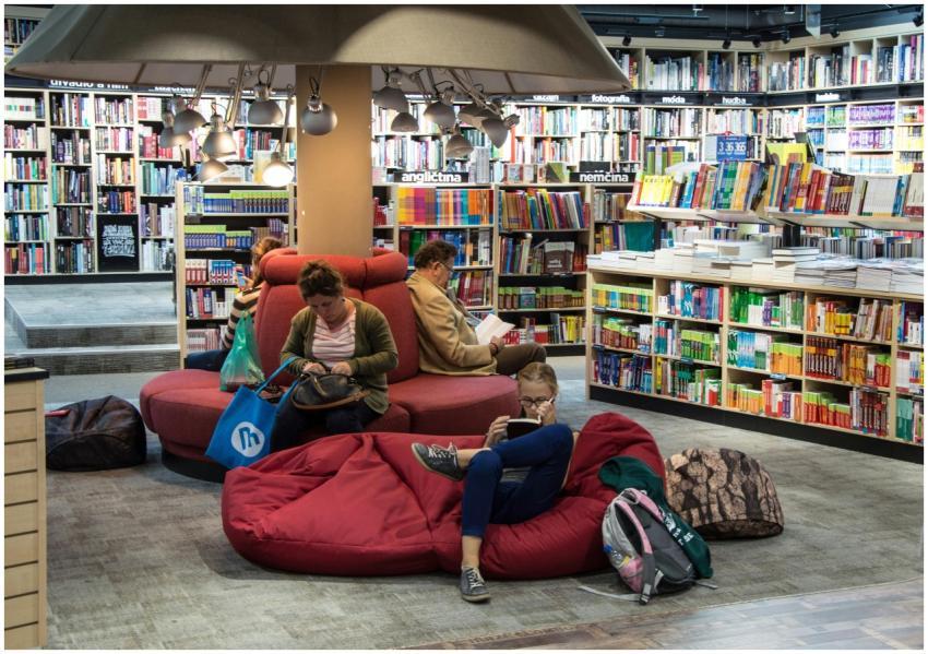 A welcoming library space with people relaxing and