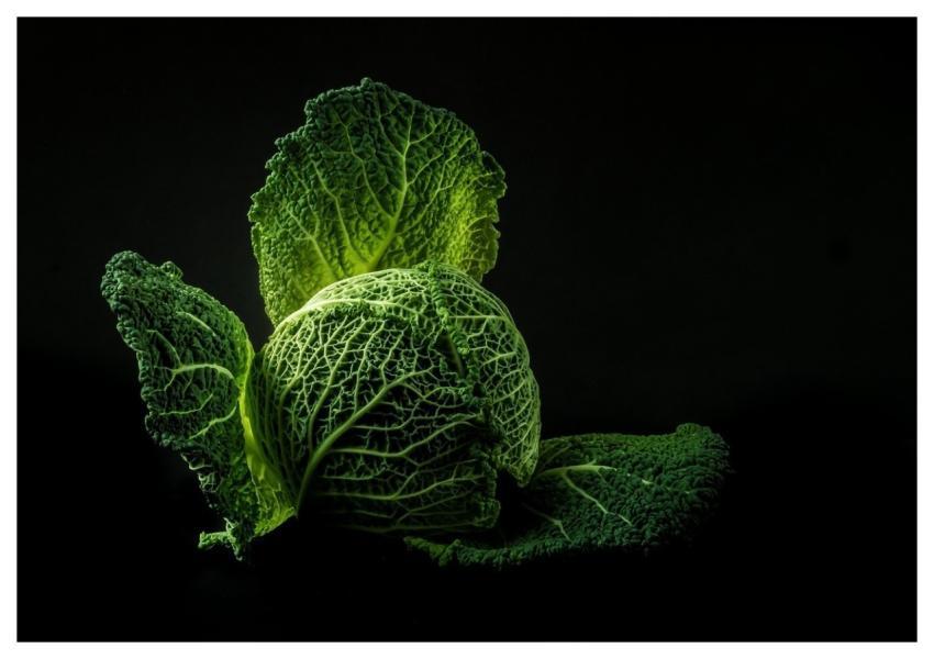 Vegetable Cabbage Green Nature