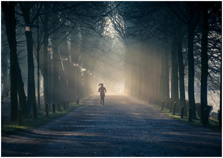 A person jogging along a foggy tree-lined pathway