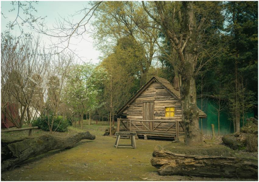 A charming log cabin in a serene, forested landsca