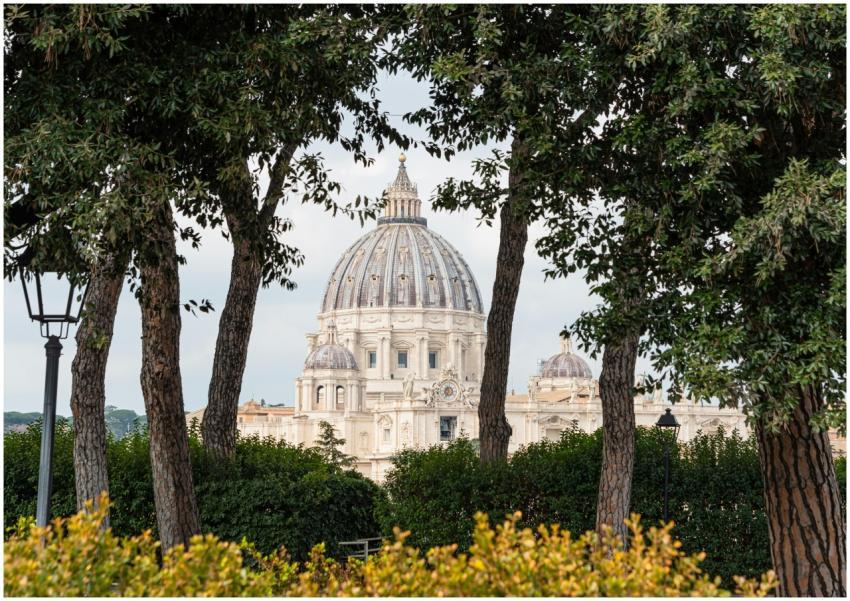 Scenic view of St. Peter's Basilica framed by tree
