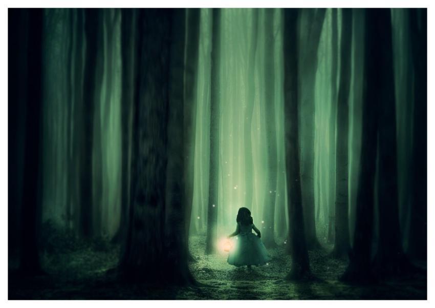 Forest Girl Trees Fog