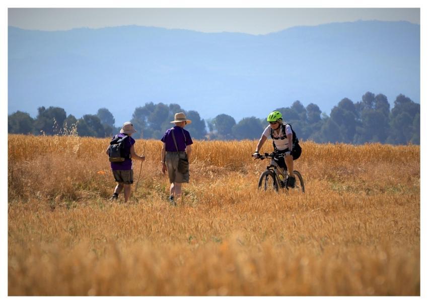 Walkers People Woman Men