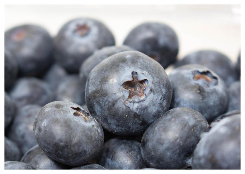 Fruit Blueberry Juicy Berry