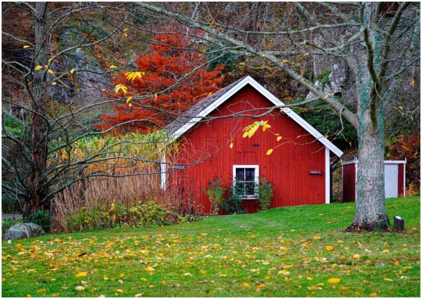 Charming Red Cottage Amidst