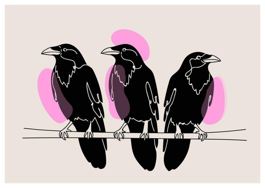 Crows Cool Backgrounds Free Wallpaper Boho