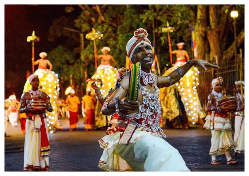 Dancer Elephant Culture Procession