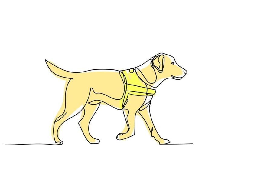 Dog Beautiful Wallpaper 4K Wallpaper 1920X1080 Wal