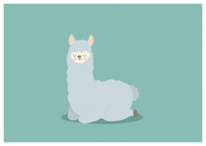 Wool Lama Wallpaper 4K Alpaca