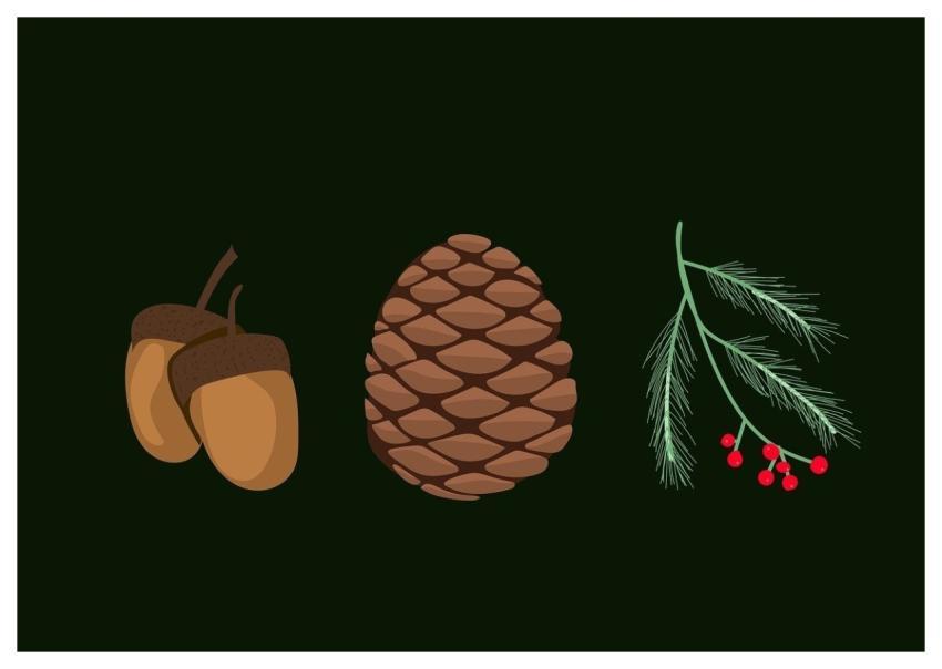 Forest Free Wallpaper Autumn Mac Wallpaper