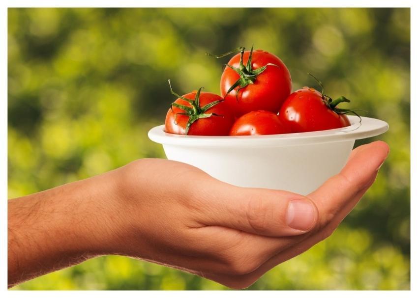 Tomatoes Vegetables Healthy Food