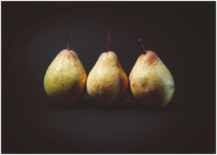 A close-up of three ripe pears displayed against a