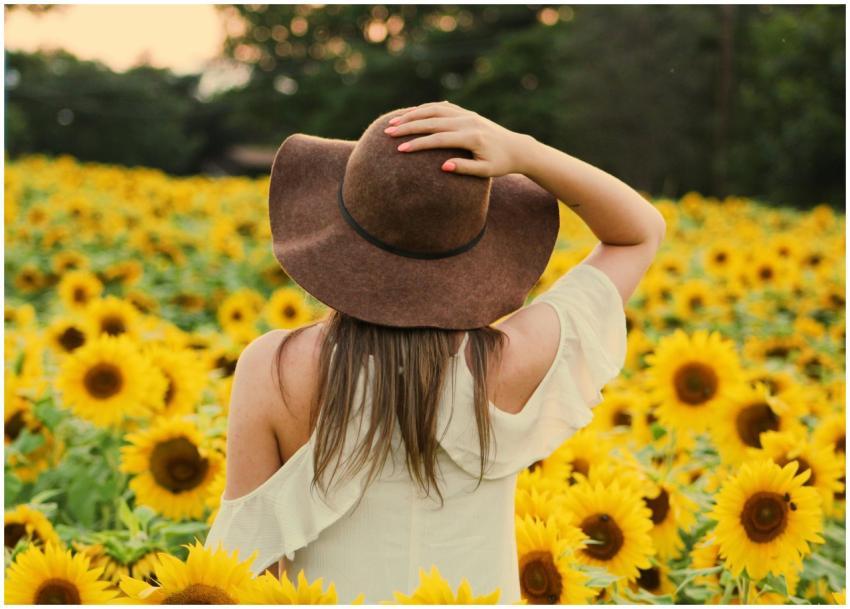 A woman enjoying the beauty of a sunflower field i