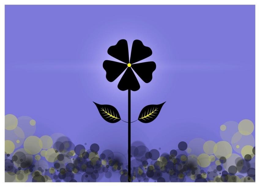 Flower Bokeh Bud Bloom