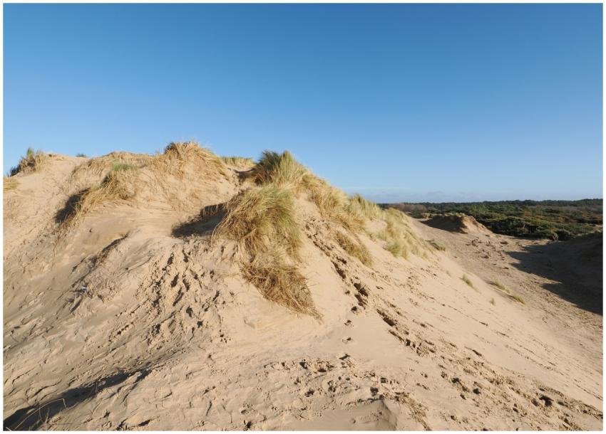 Free stock photo of formby beach