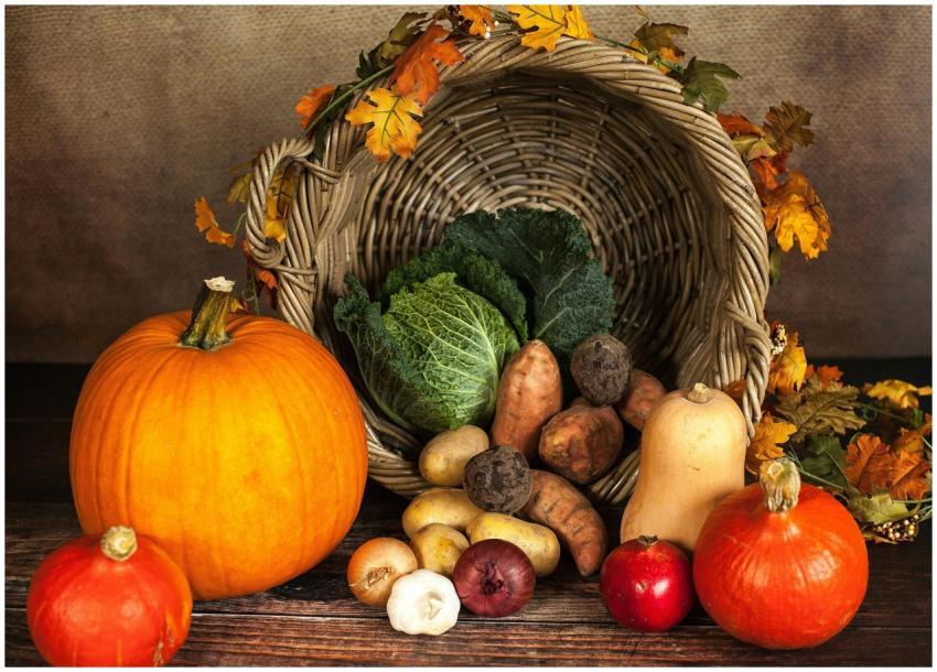A rustic cornucopia overflowing with fresh autumn