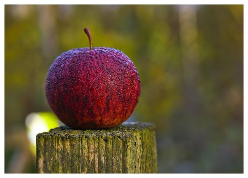 Apple Fruit Food Healthy