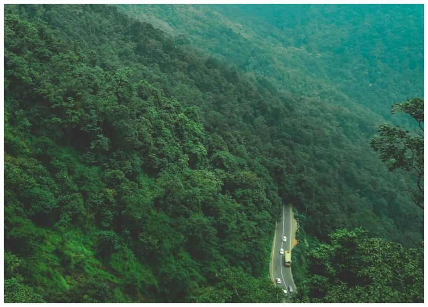 A mesmerizing aerial shot of a winding road cuttin