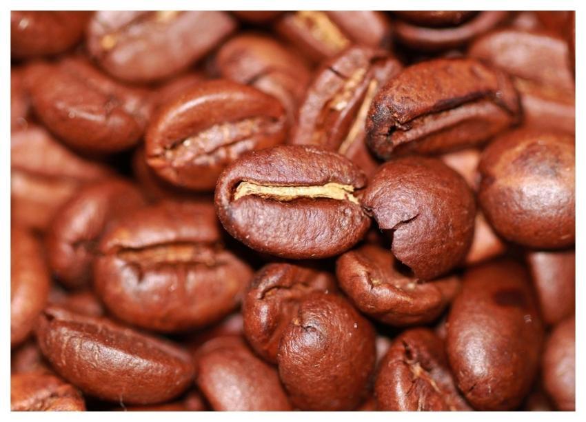 Brown Beautiful Wallpaper Desktop Backgrounds Free